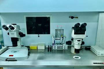 semums-en.amirhos.ivf ward 